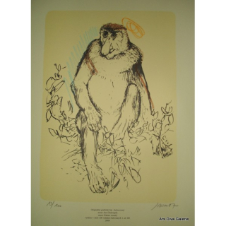 Kahou nosatý - opice