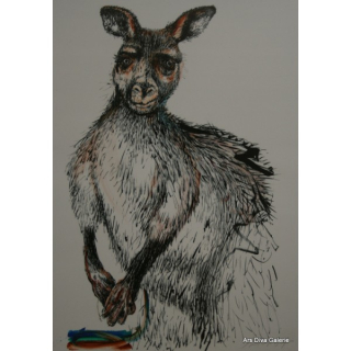 Tiché moře vypráví - Klokan