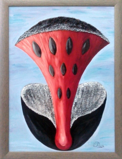 Psychedelická houba