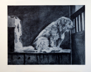 Přítel z dětství